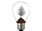 light bulb with tree in it 